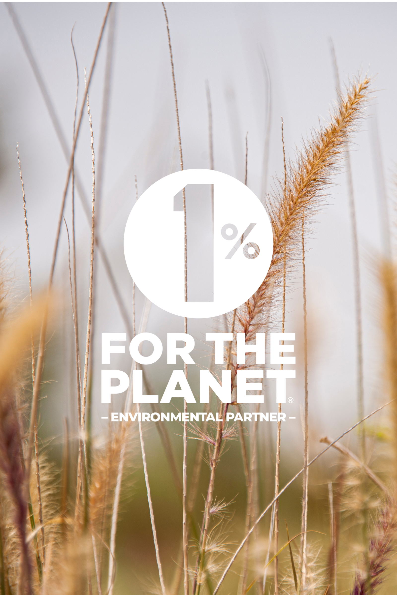 1% for the plan image and logo